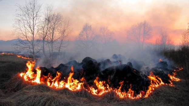 Одна з найбільших пожеж на Полтавщині: наслідки, допомога постраждалим та відновлення